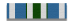 Volunteer Service Medal